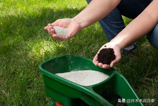 养好月季6大诀窍，附带配土、浇水、施肥详细教程。助你花开满园