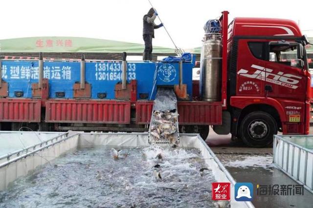 临沂强盛淡水鱼批发市场开业：系鲁南苏北一级批发市场