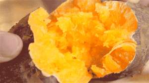 板栗番薯种植方法(番薯大家都吃过，但板栗番薯你吃过吗？它是惠州这农村的全村希望)