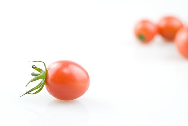 盆栽西红柿，移栽到“地里”，掐下头，窜1米多，挂满几百小番茄
