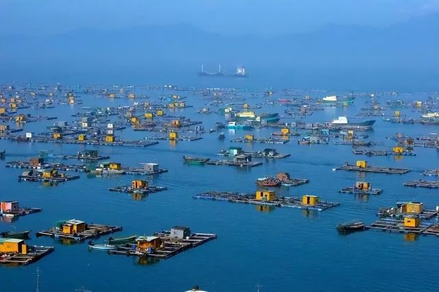【智慧渔业】中国制造的十大深海智能装置养殖平台都有哪些?