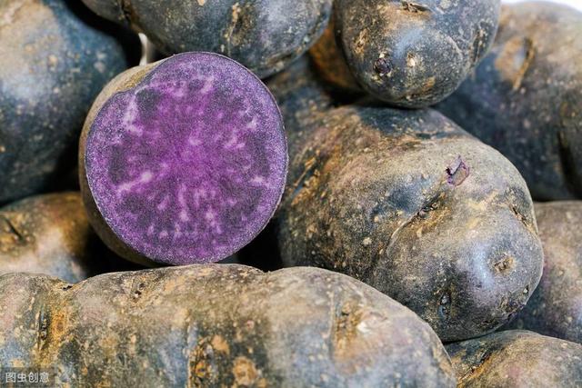 吃过紫薯?那你吃过这种紫色的洋芋吗?口感绵密，一经推出迅速走红