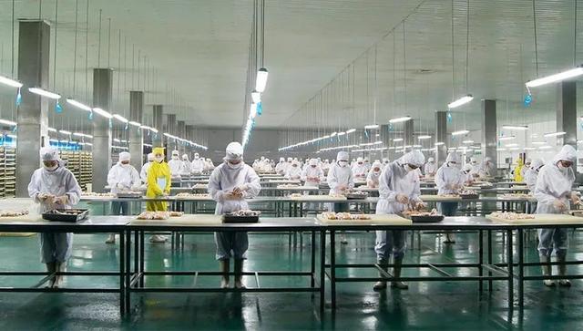 山东聊城诞生的“宠物食品大王”：三年进账80亿，海外收入占四成