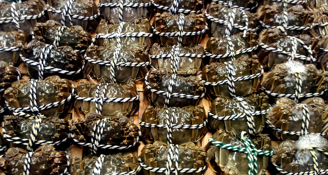 江苏小伙创新养蟹，大胆养殖“六月黄、双壳蟹”，每亩多赚四千块