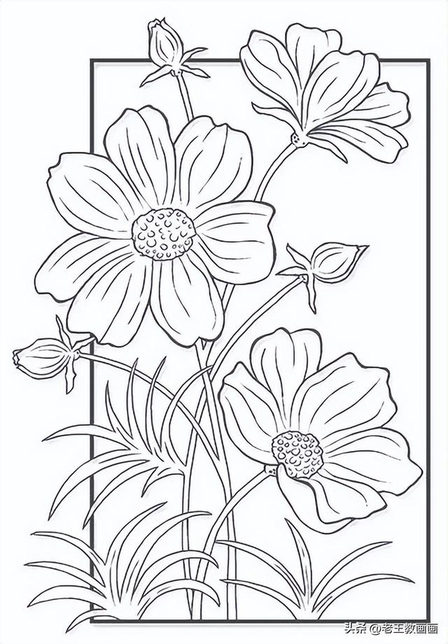 手绘资料，植物花卉图谱，收藏备用