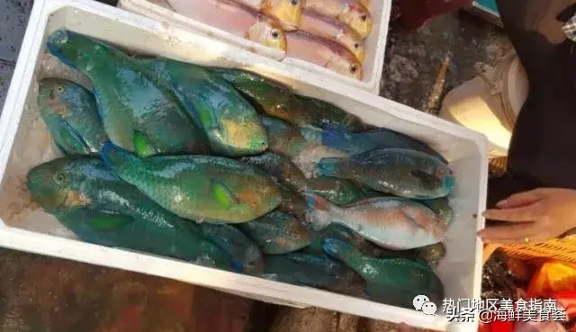 在内陆人眼里，这种鱼是染色的，在香港人眼里，这种鱼是鱼王