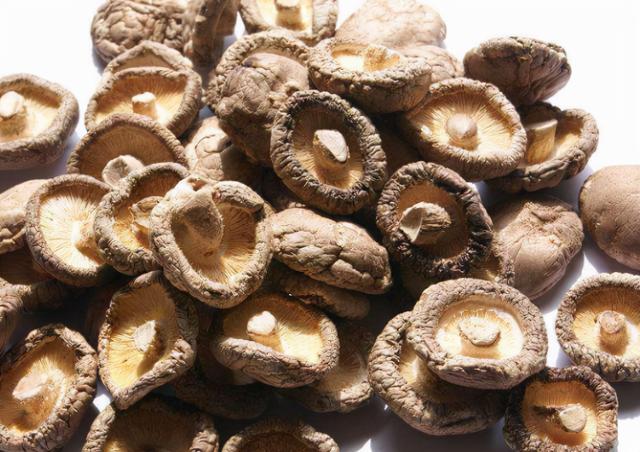 香菇种植成本和产出效益分析