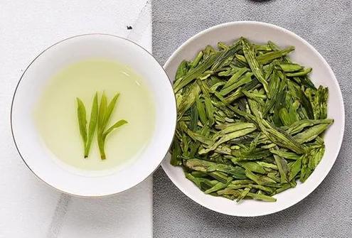 河北阜平的实践证明中国北方也是可以种植茶叶的