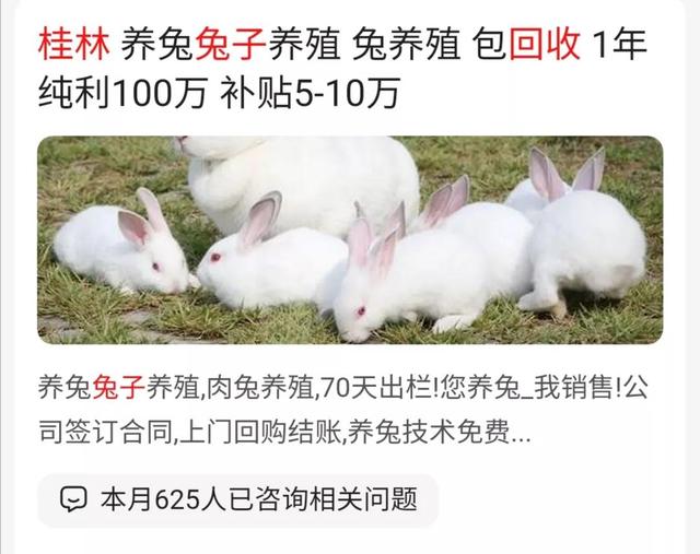 网上养殖兔子的广告一定不能信