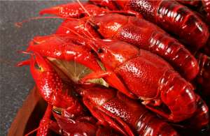 桓台能养殖小龙虾(从外来入侵物种到夏日流行的“网红美食”，介绍一下“小龙虾”)