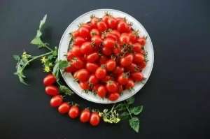 小西红柿的种植(圣女