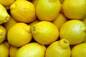 香水柠檬怎么种植(香水柠檬正确种植方法，及种植注意事项)