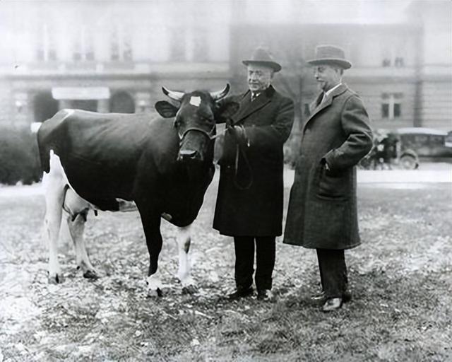 “尼克松时代”的美国畜牧业，是如何实现从颓废到崛起的？