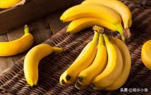 种植香蕉地(香蕉种植