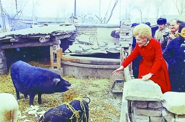 “尼克松时代”的美国畜牧业，是如何实现从颓废到崛起的？