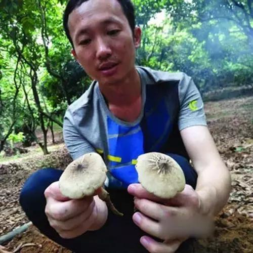 教你在家种蘑菇呀？既满足了食用、又丰富了生活
