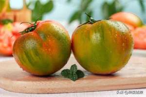 铁皮柿子种植(春季种番茄，怎么种出草莓番茄、铁皮番茄，是不是水肥越少越好？)