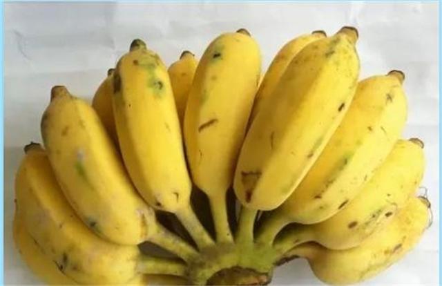 芭蕉的种植条件比香蕉要来的严格一些，那么芭蕉怎么种呢？
