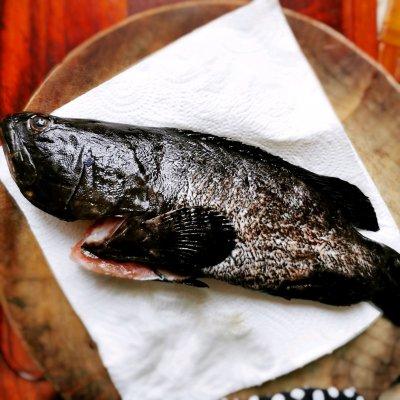丰富餐桌味——红烧珍珠龙胆石斑鱼