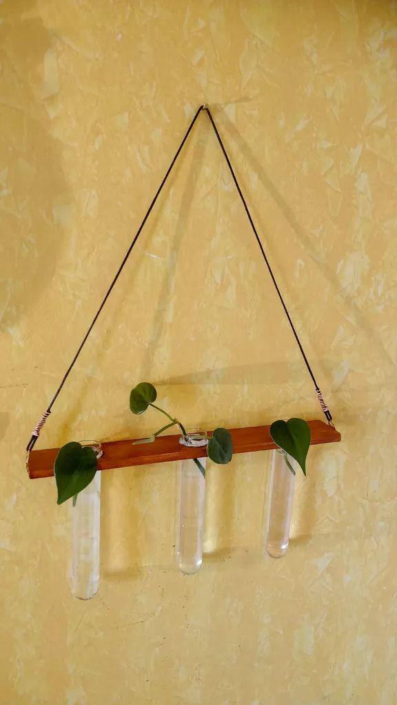 用木板和小试管制作的吊盆绿萝，养窗台上特精致
