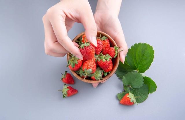 草莓最新种植方法，哪怕初学者也能成功，邻居都羡慕极了