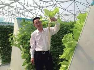 立体种植蔬菜(种菜不用土，气雾立体栽培，让生菜产量价格翻几番)