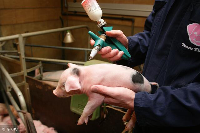 抗生素对人体有害，为什么养殖户在养殖过程中依然使用抗生素？