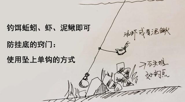 江团，因“鱼肚”酷似笔架山而闻名，解读江团的最佳钓法：坠上钩