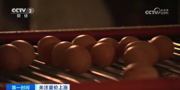 全国多地鸡蛋价格大涨，什么原因？