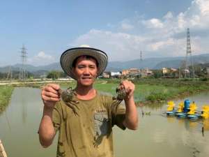 云南德宏养殖(傣族大叔在中缅边境养大闸蟹，一连亏本十多年，所幸上海“贵人”来了)
