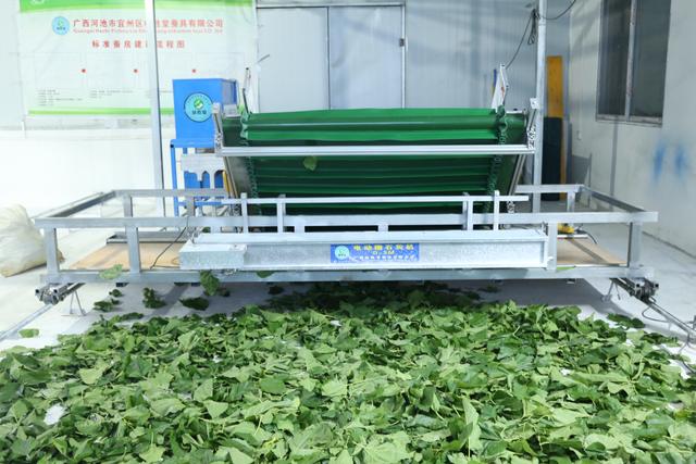 智能化自动化养蚕设备技术 助力蚕桑产业高质量发展