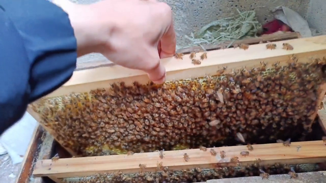 养蜂技术教学，下期视频继续更新。