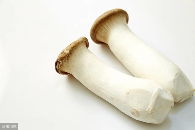 蘑菇做得好，比肉还好吃，带你了解七种常见食用菌（含烹饪方法）