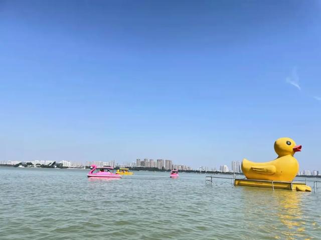 国庆小长假第四天，乘坐火烈鸟游船成为游客乘凉赏景的热门方式