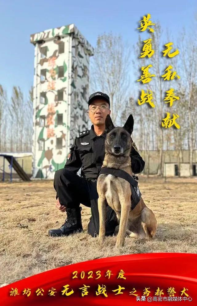 【忠诚保平安·榜样在身边】潍坊高密精兵训导员张旭——看战斗力爆表的警犬训导员是怎样炼成的