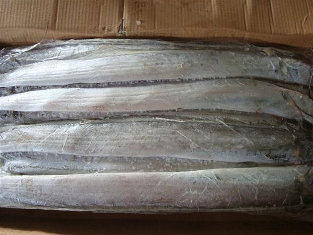 中国人常吃的10种海鱼，至少有3种成功养殖，这些你都吃过吗？