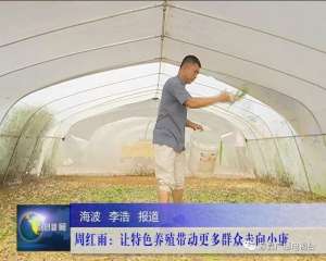 沧州献县蚂蚱养殖基地(周红雨：让特色养殖带动更多群众走向小康)