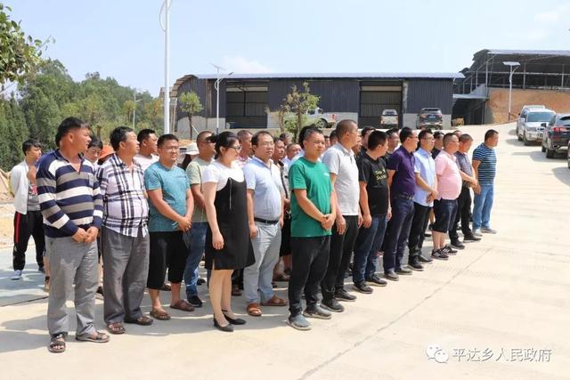 龙陵县润达农业开发有限公司平达乡 规模化肉牛养殖场举行揭牌仪式