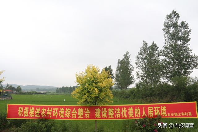 走进东丰县太和村：不仅家家有美景，而且处处有风情……