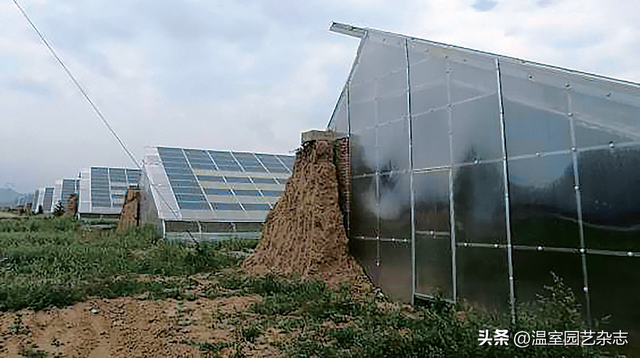 技术探讨｜青海地区四种不同结构的光伏温室建造