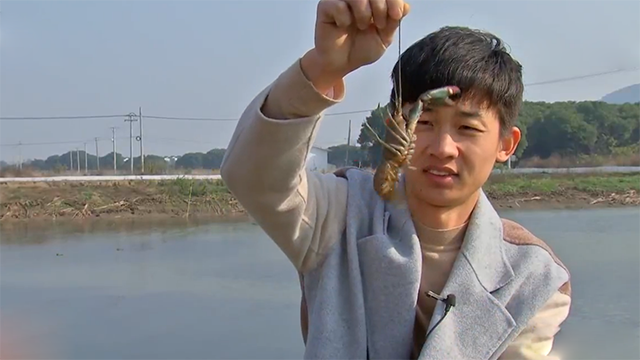 水泥池中养龙虾，亩产3.2万元，学会他3个养殖绝招，想不赚钱都难