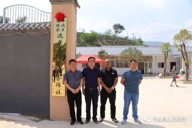 龙陵县润达农业开发有限公司平达乡 规模化肉牛养殖场举行揭牌仪式