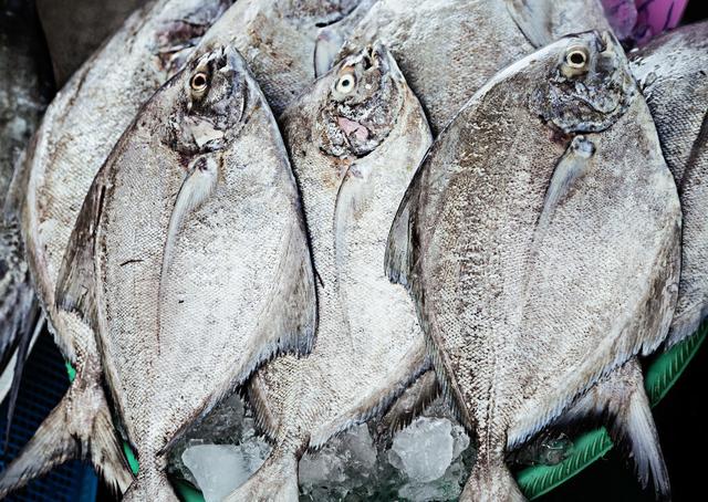 老渔民推荐的这6种鱼，目前无法人工养殖，都是纯野生，贵点也值