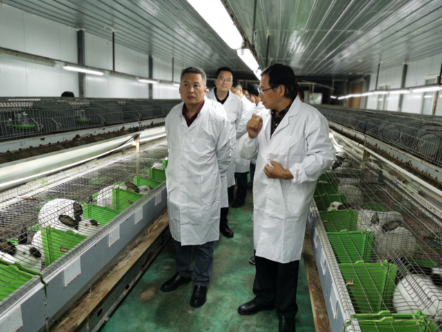 重庆渝北区：肉兔兽用抗菌药安全使用技术科技示范基地初显成效