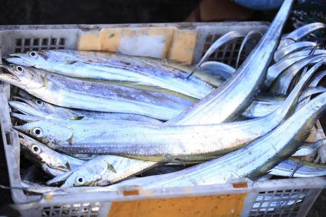 老渔民推荐的这6种鱼，目前无法人工养殖，都是纯野生，贵点也值