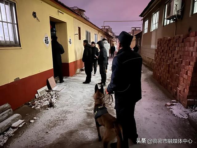 【忠诚保平安·榜样在身边】潍坊高密精兵训导员张旭——看战斗力爆表的警犬训导员是怎样炼成的