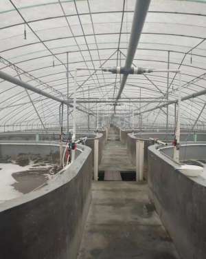 工厂化养殖 水处理(工厂化水产养殖过程——养殖用水处理技术)