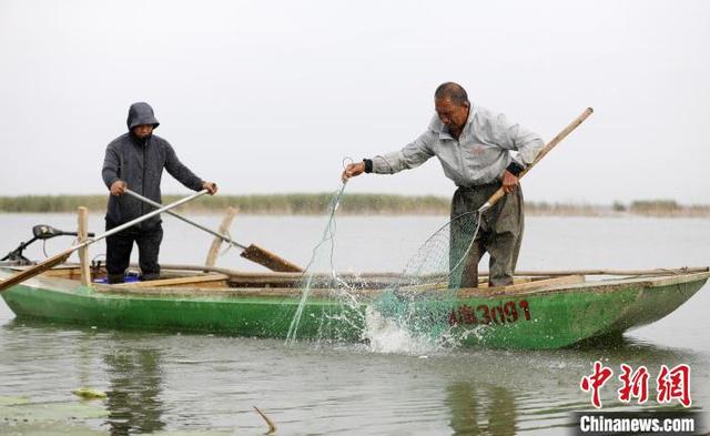 一船一码一证：“京津冀最美湿地”衡水湖开湖捕鱼