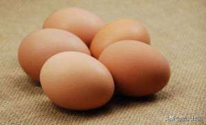 斑蝥人工养殖(“化妆”土鸡蛋遭央视曝光，揭秘藏在你身边的斑蝥黄)