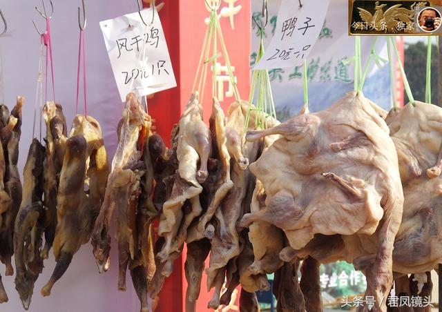湖北宜昌：商家卖土特产，野鸡80元一只！其实是人工养殖的！